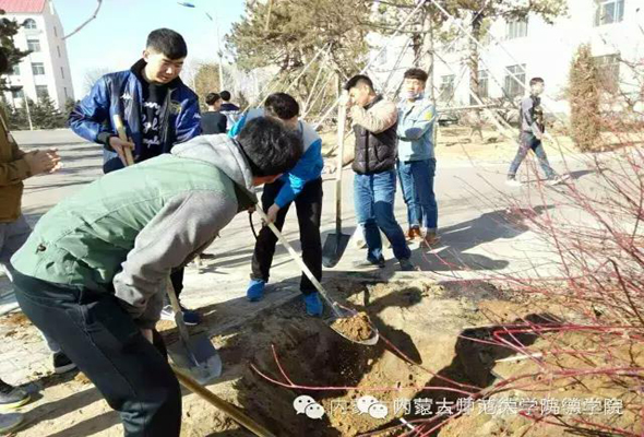 植樹節特別活動——校園綠化從我做起