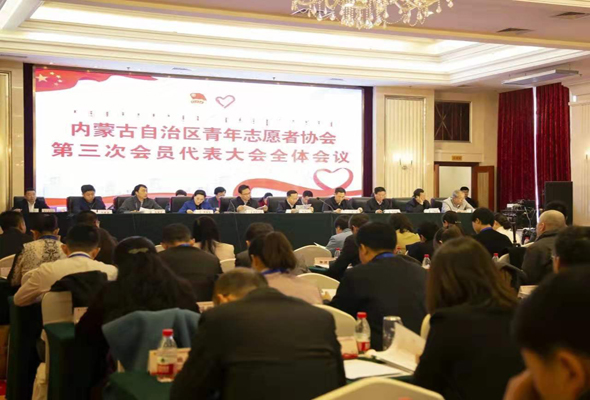 鴻德學院團委被選為自治區青年志愿者協會理事單位