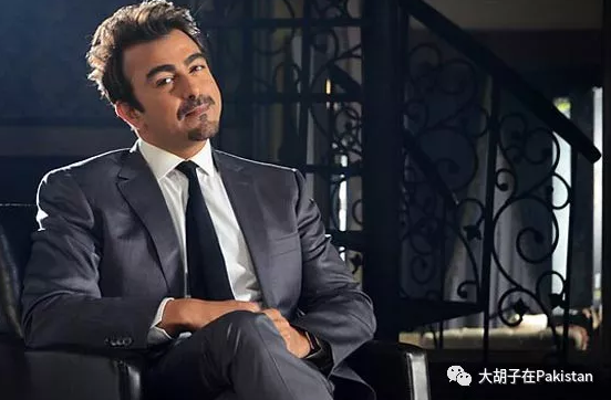 巴基斯坦大牌影星的演出費知多少