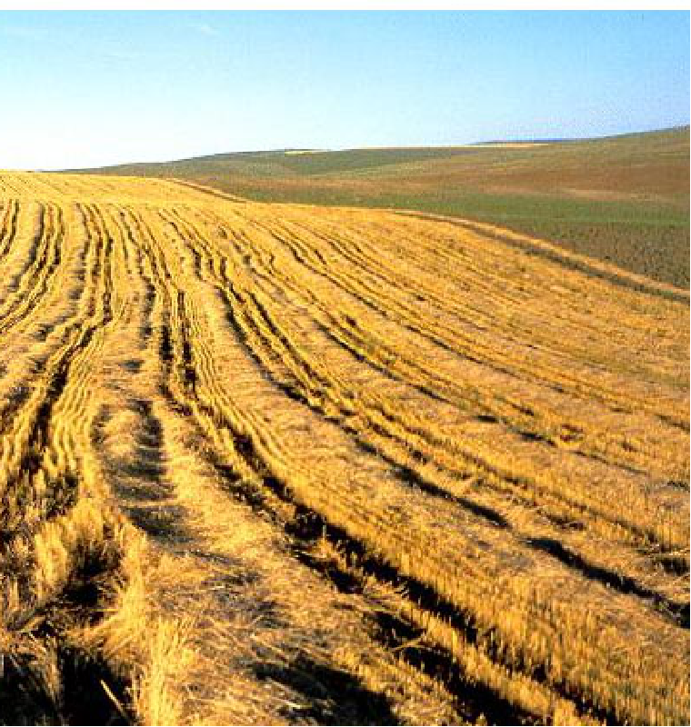 巴基斯坦經(jīng)濟(jì)概況