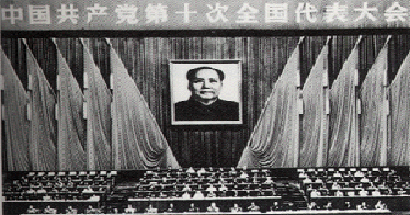 中國共產黨第十次全國代表大會簡介