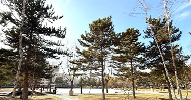 植樹背后的鴻德故事