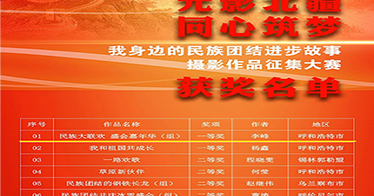 學(xué)院藝術(shù)設(shè)計(jì)系教師李峰的組圖作品榮獲全區(qū)一等獎(jiǎng)！