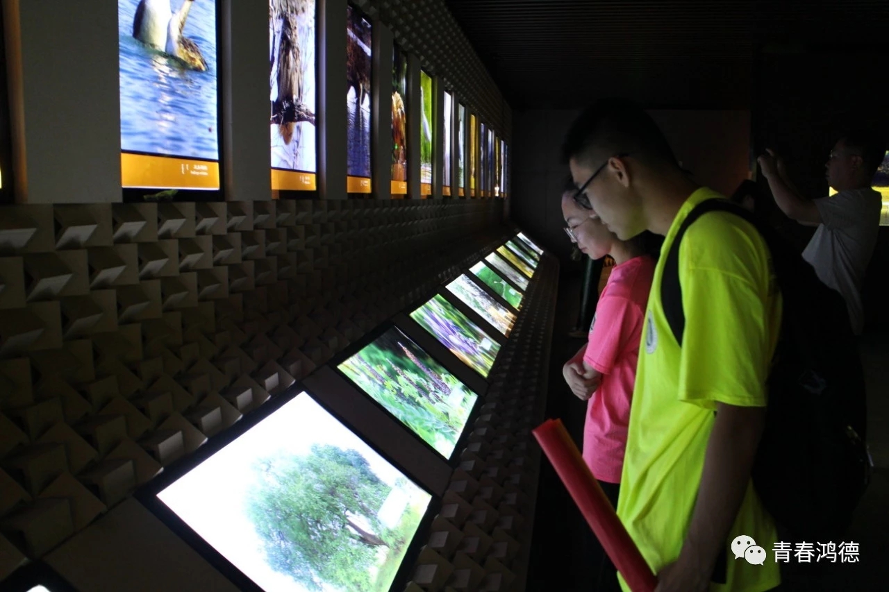 20191021194108_93218.jpg 20191021194108_93218.jpg