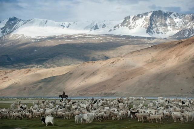 微信圖片_20211123145403.jpg 微信圖片_20211123145403.jpg