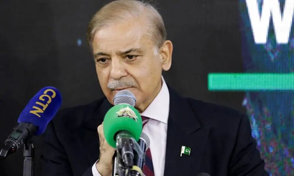 微信圖片_20240919142909.jpg 微信圖片_20240919142909.jpg