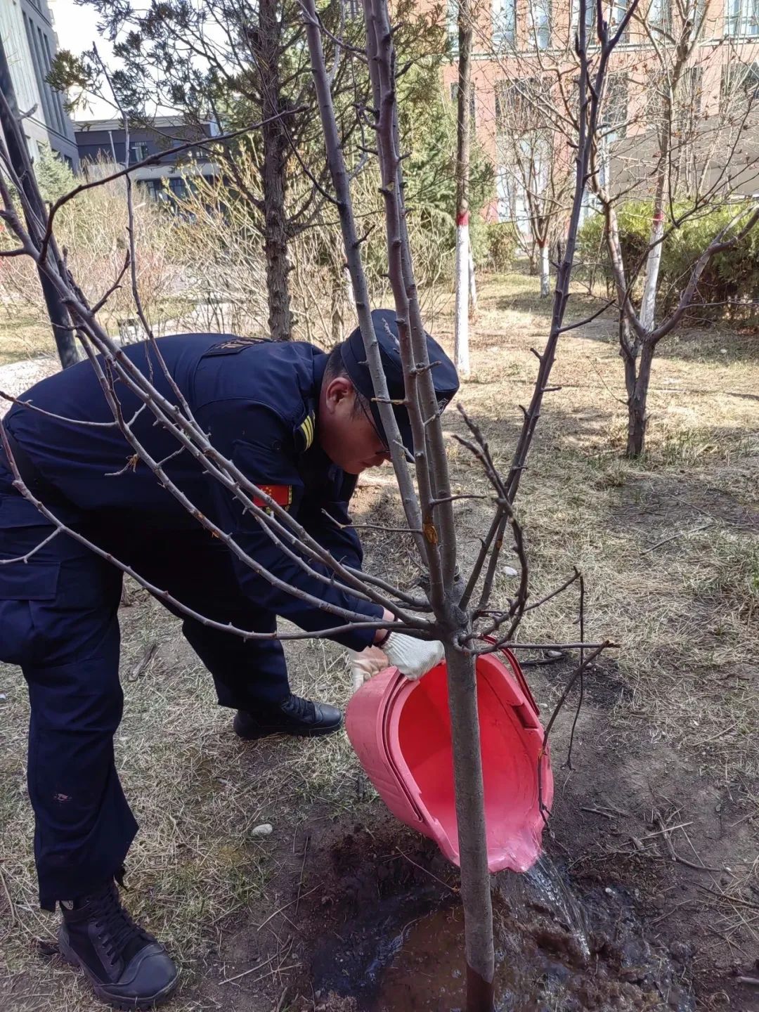 微信圖片_20250515195901.jpg 微信圖片_20250515195901.jpg