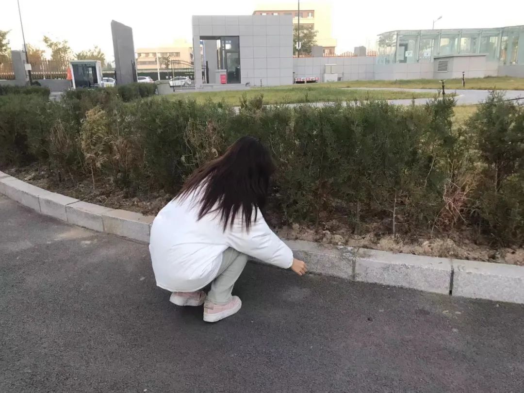 微信圖片_20250515201040.jpg 微信圖片_20250515201040.jpg