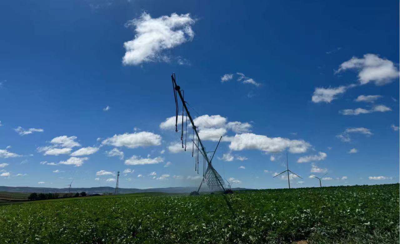 8926e634216db60069c7b57a73ba175c.jpg 8926e634216db60069c7b57a73ba175c.jpg