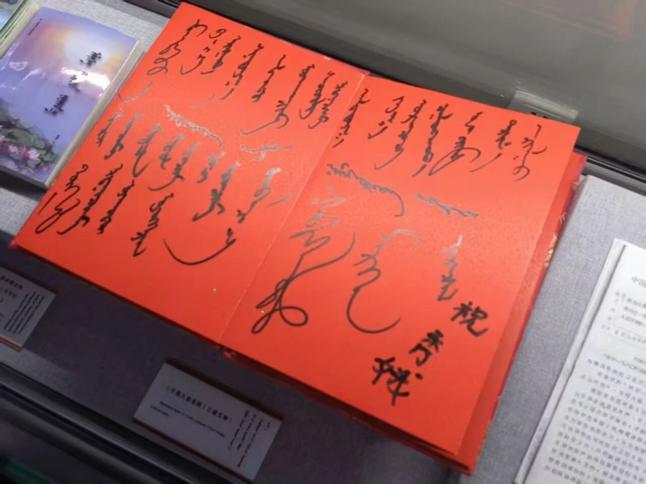 微信圖片_20251119203019.jpg 微信圖片_20251119203019.jpg